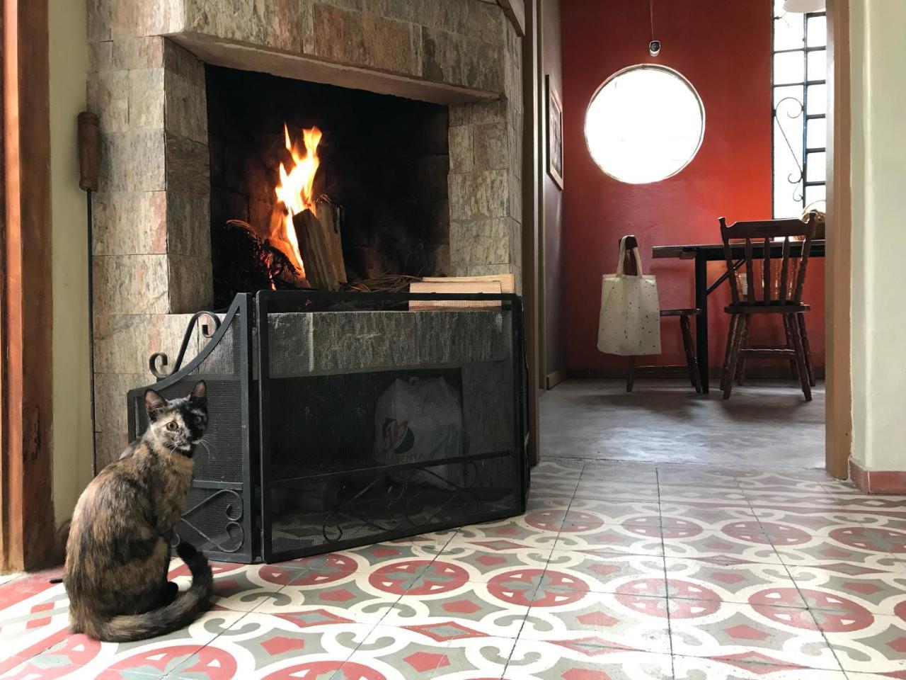 Frida Casa Hostel Пелотас Экстерьер фото