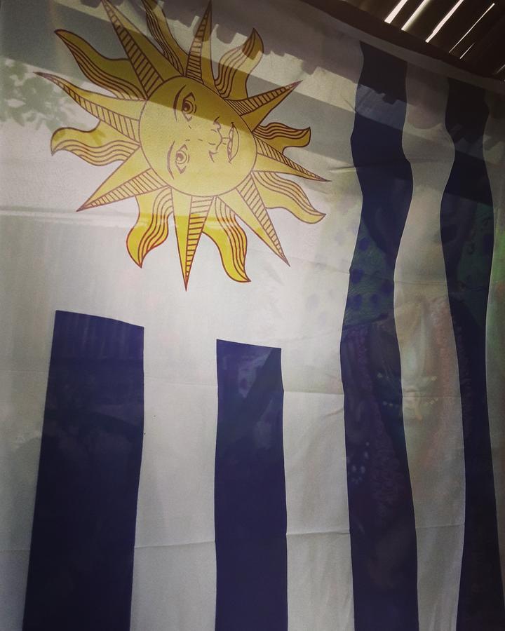 Frida Casa Hostel Пелотас Экстерьер фото
