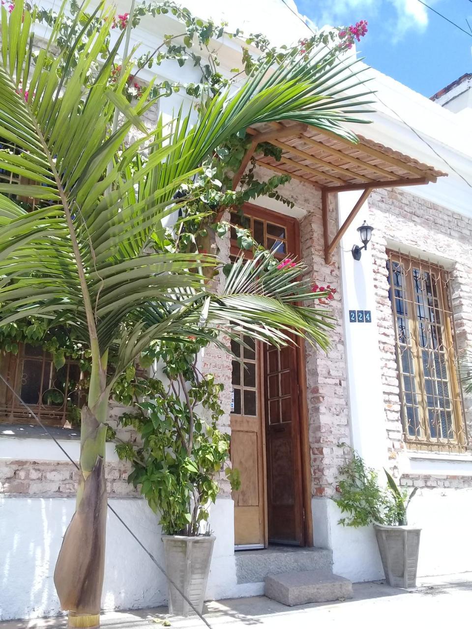 Frida Casa Hostel Пелотас Экстерьер фото